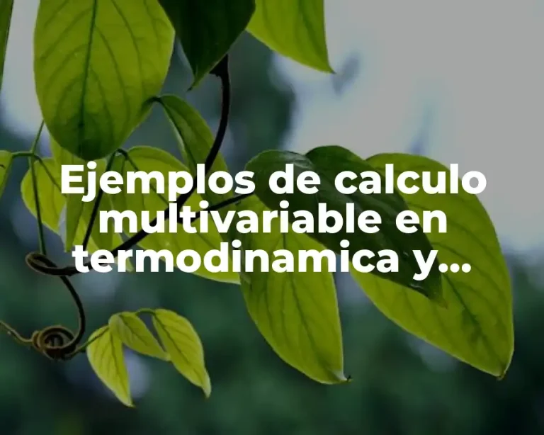 Ejemplos de calculo multivariable en termodinamica y Significado