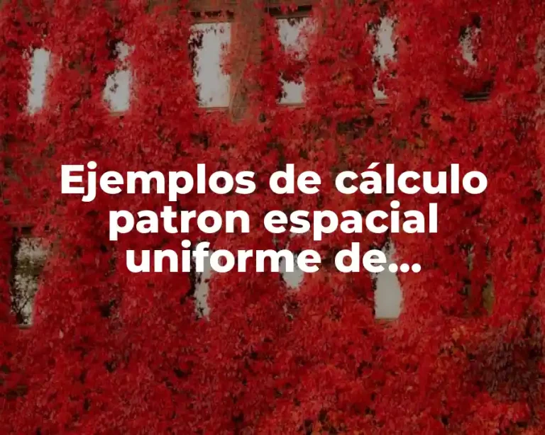 Ejemplos de cálculo patron espacial uniforme de distribución y Significado