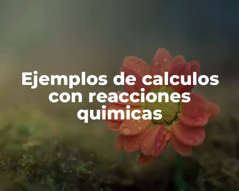 Ejemplos de calculos con reacciones quimicas