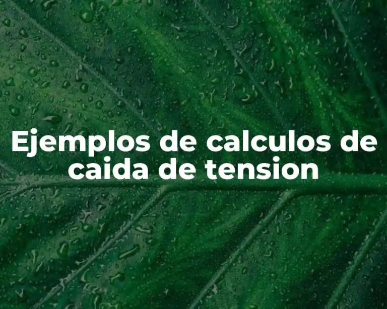 Ejemplos de calculos de caida de tension