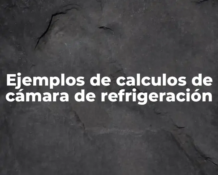 Ejemplos de calculos de cámara de refrigeración