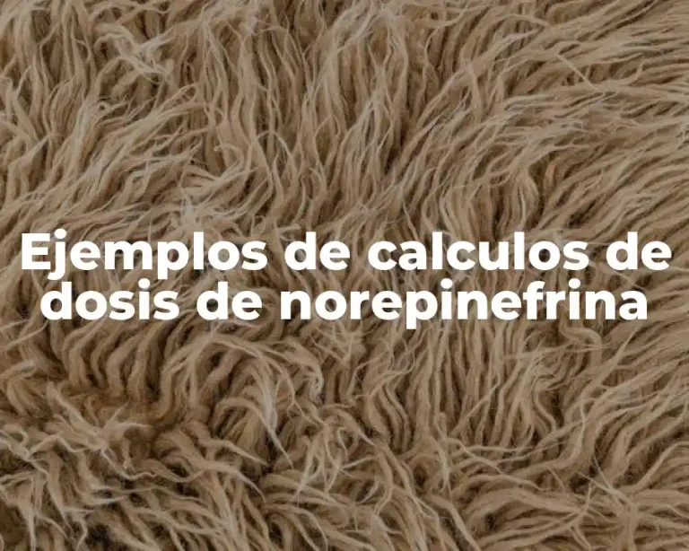 Ejemplos de calculos de dosis de norepinefrina