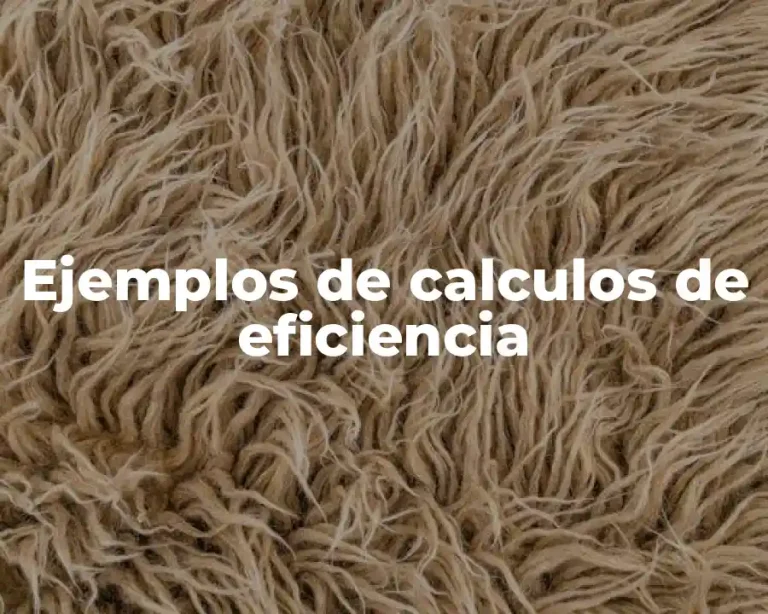 Ejemplos de calculos de eficiencia