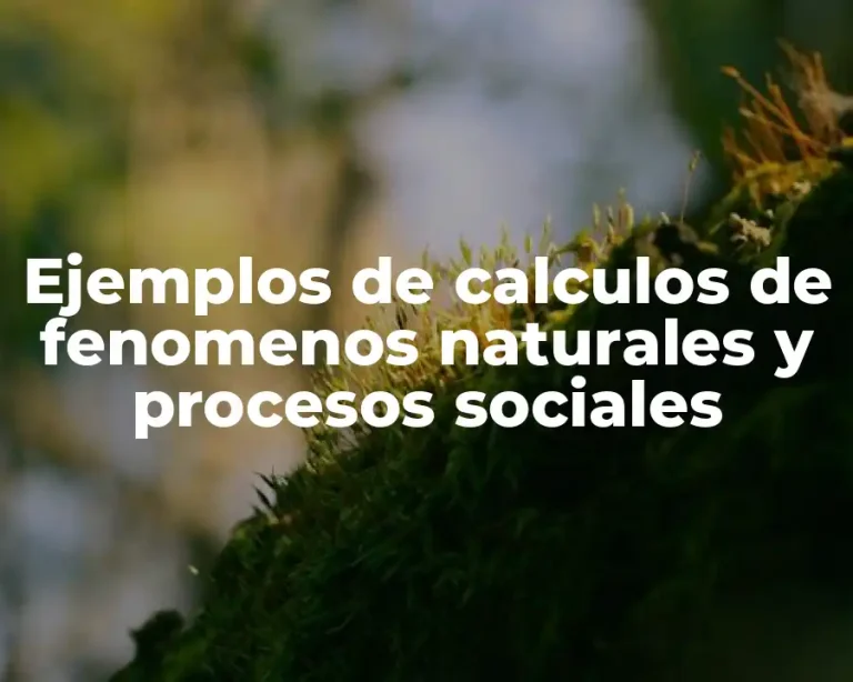 Ejemplos de calculos de fenomenos naturales y procesos sociales