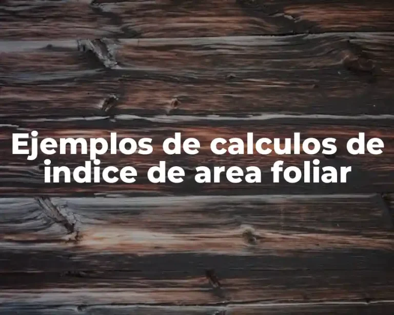 Ejemplos de calculos de indice de area foliar