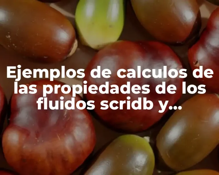Ejemplos de calculos de las propiedades de los fluidos scridb y Significado
