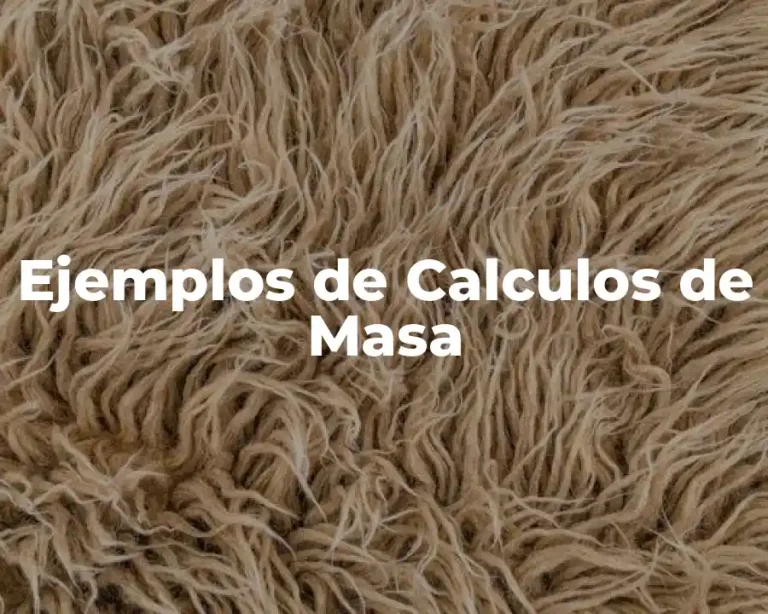 Ejemplos de Calculos de Masa