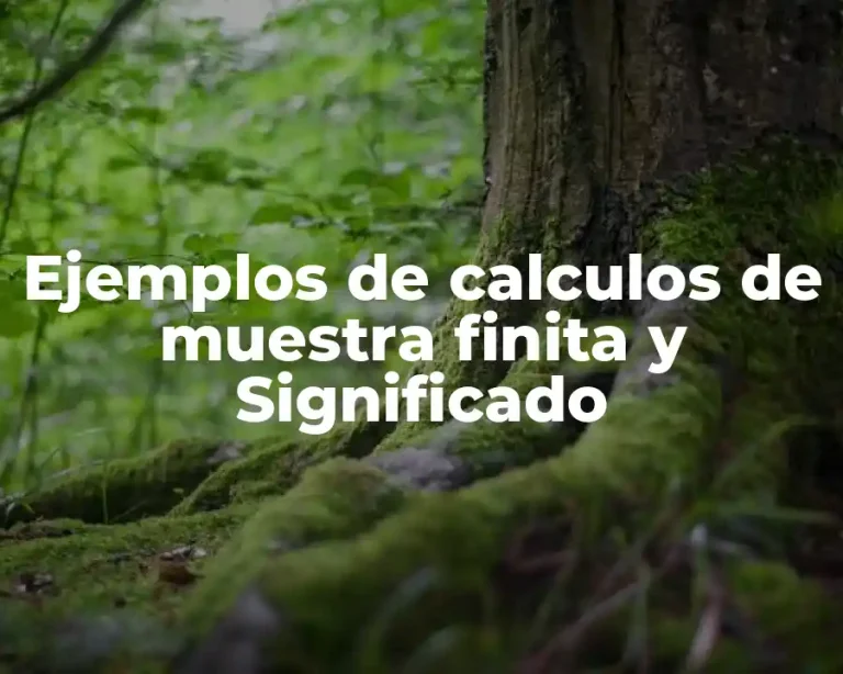 Ejemplos de calculos de muestra finita y Significado