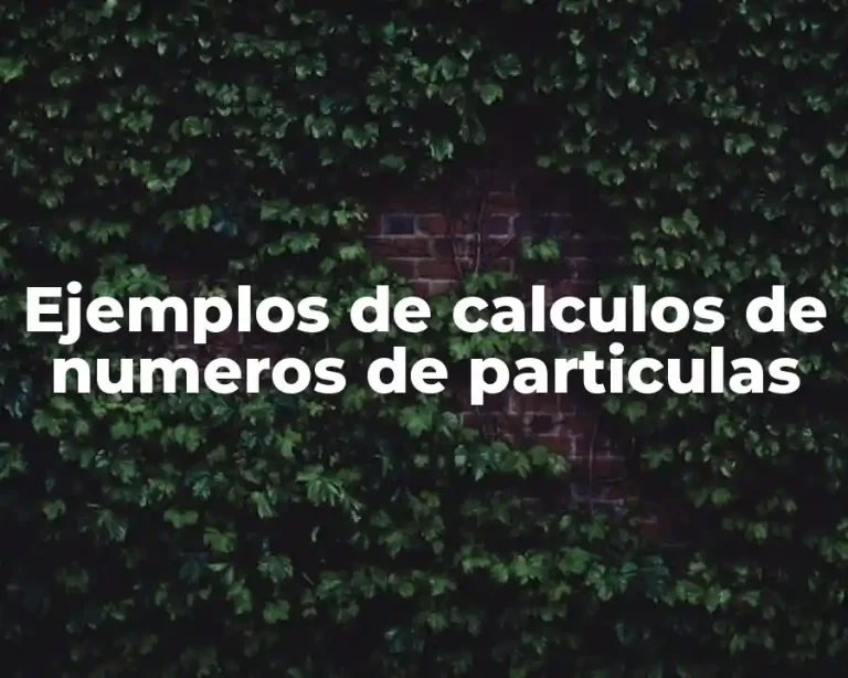 Ejemplos de calculos de numeros de particulas