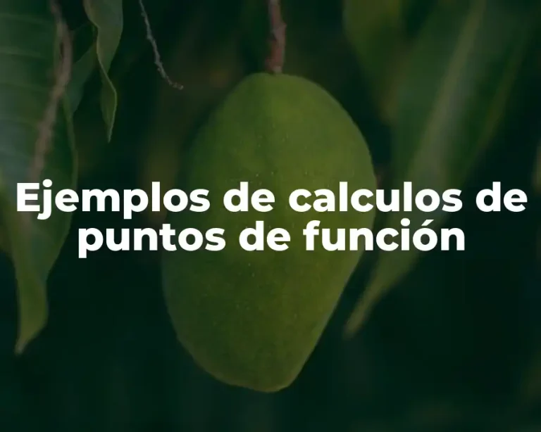Ejemplos de calculos de puntos de función