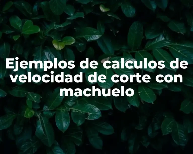 Ejemplos de calculos de velocidad de corte con machuelo