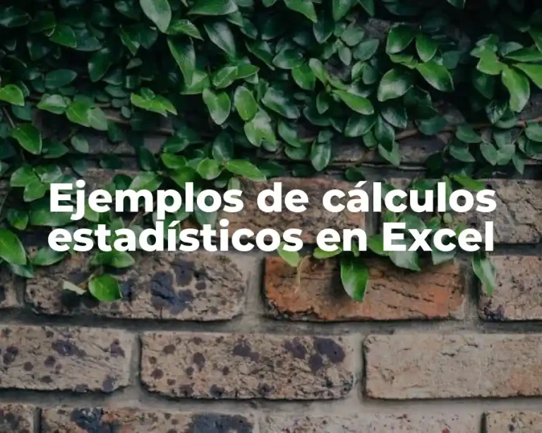 Ejemplos de cálculos estadísticos en Excel