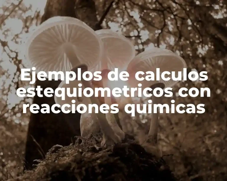 Ejemplos de calculos estequiometricos con reacciones quimicas