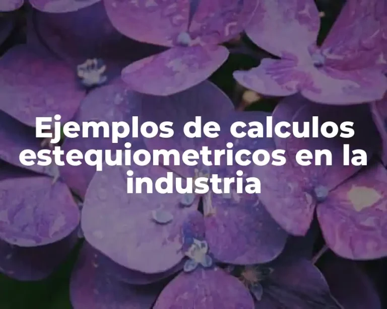 Ejemplos de calculos estequiometricos en la industria
