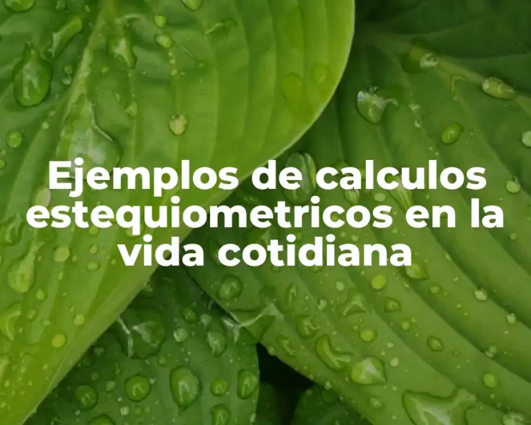 Ejemplos de calculos estequiometricos en la vida cotidiana