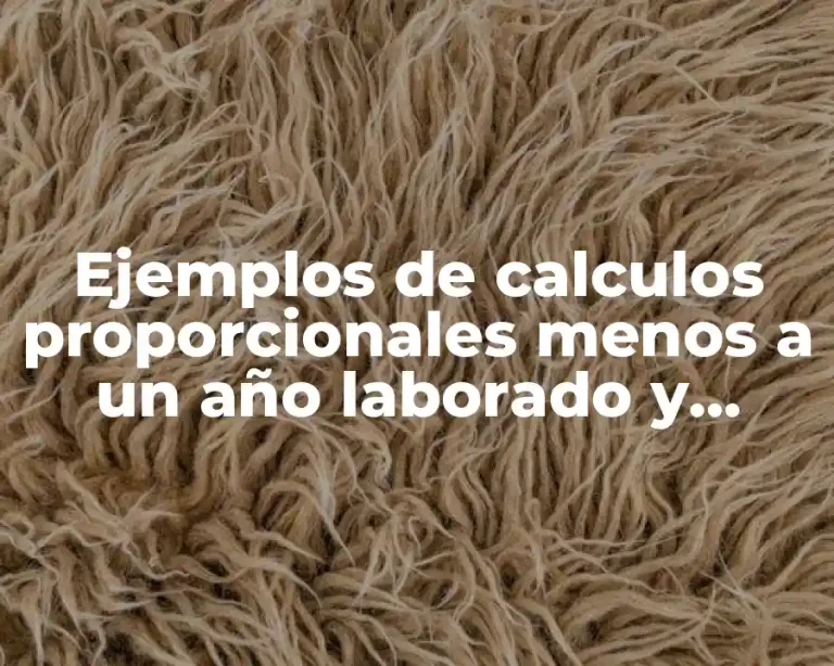 Ejemplos de calculos proporcionales menos a un año laborado y Significado