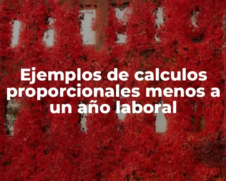 Ejemplos de calculos proporcionales menos a un año laboral