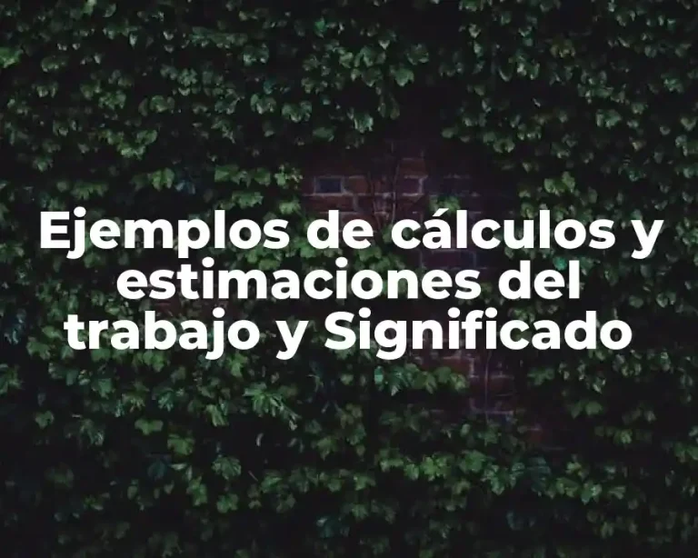 Ejemplos de cálculos y estimaciones del trabajo y Significado