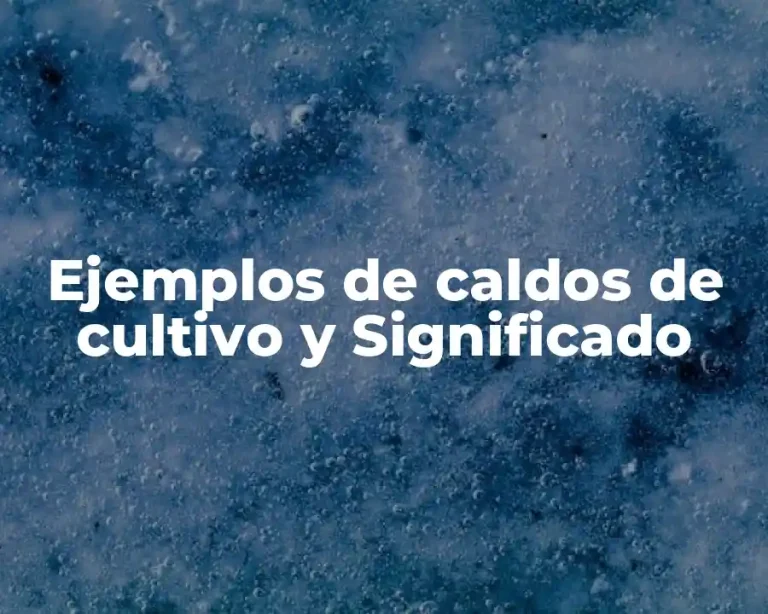 Ejemplos de caldos de cultivo y Significado