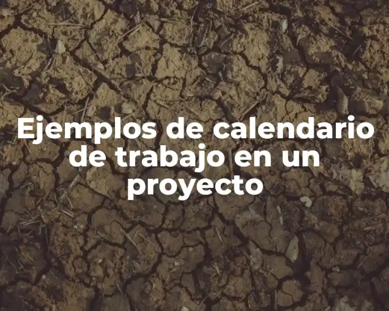 Ejemplos de calendario de trabajo en un proyecto