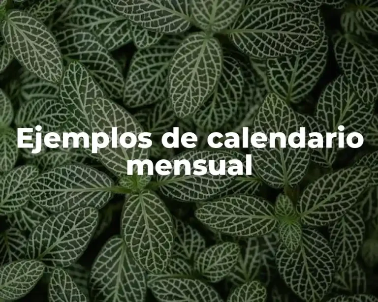 Ejemplos de calendario mensual