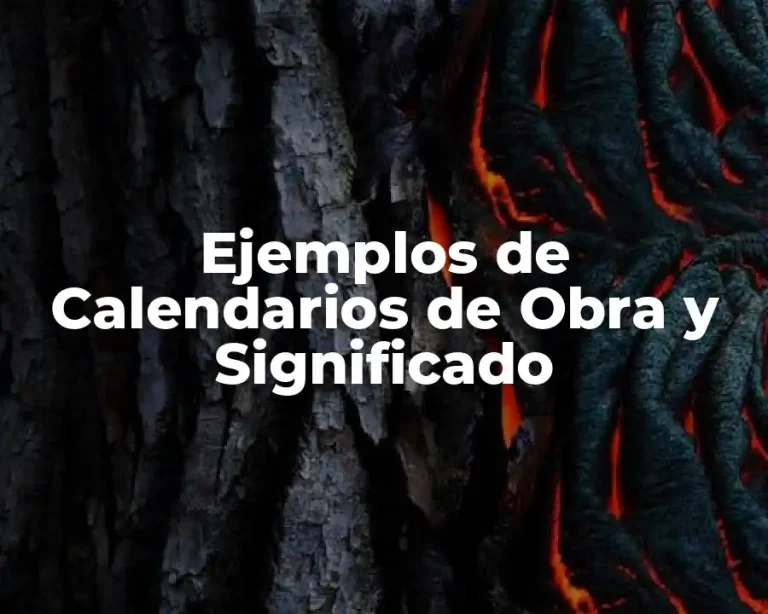 Ejemplos de Calendarios de Obra y Significado