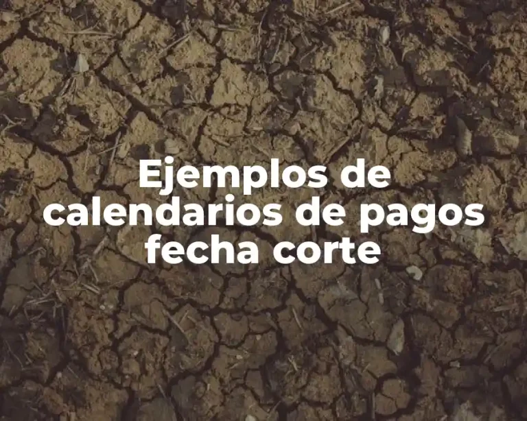 Ejemplos de calendarios de pagos fecha corte