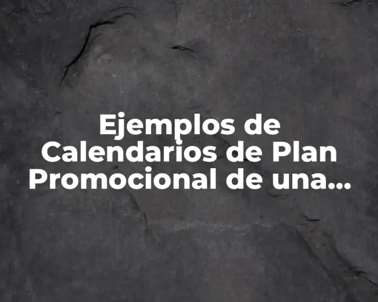 Ejemplos de Calendarios de Plan Promocional de una Empresa