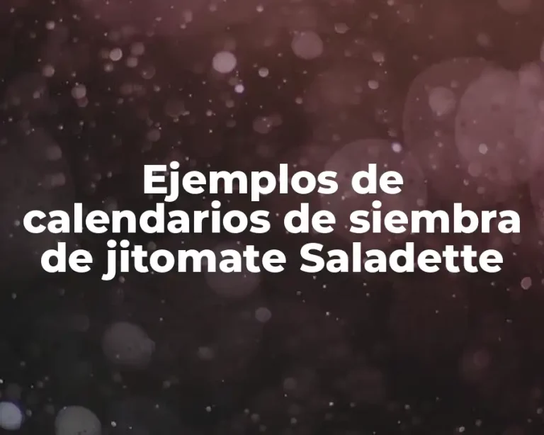 Ejemplos de calendarios de siembra de jitomate Saladette