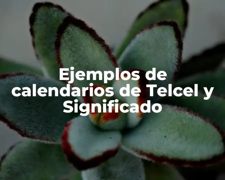 Ejemplos de calendarios de Telcel y Significado