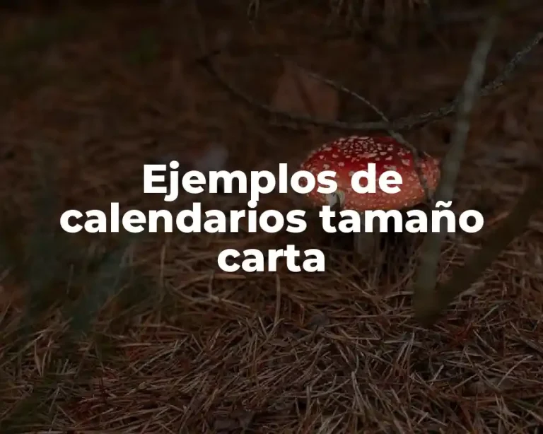 Ejemplos de calendarios tamaño carta