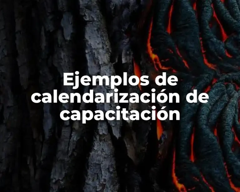 Ejemplos de calendarización de capacitación