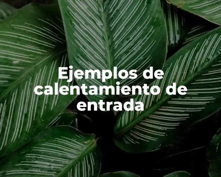 Ejemplos de calentamiento de entrada