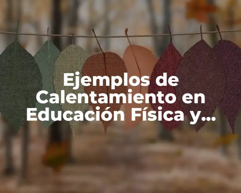 Ejemplos de Calentamiento en Educación Física y Significado