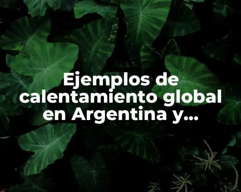 Ejemplos de calentamiento global en Argentina y Significado