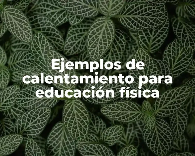 Ejemplos de calentamiento para educación física
