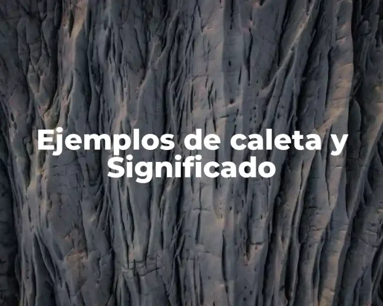 Ejemplos de caleta y Significado