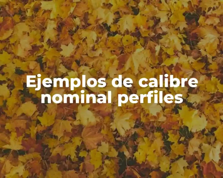 Ejemplos de calibre nominal perfiles