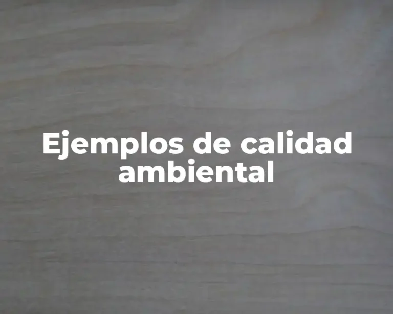 Ejemplos de calidad ambiental