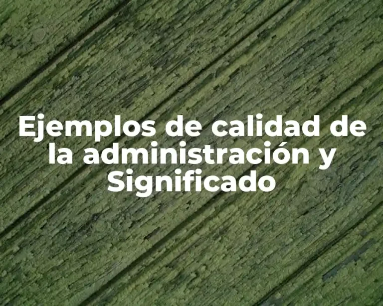 Ejemplos de calidad de la administración y Significado