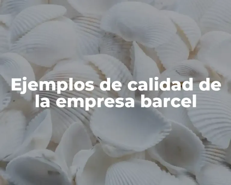 Ejemplos de calidad de la empresa barcel