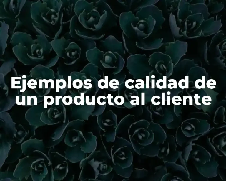 Ejemplos de calidad de un producto al cliente