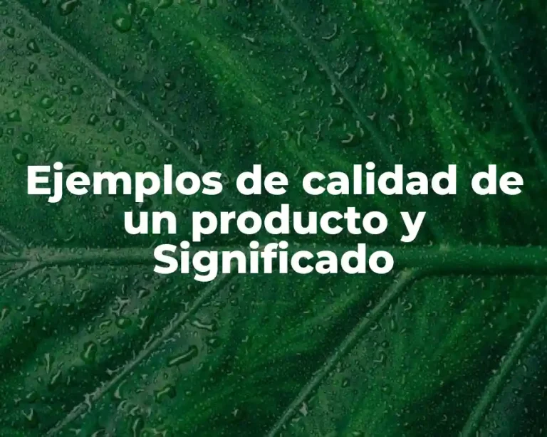 Ejemplos de calidad de un producto y Significado