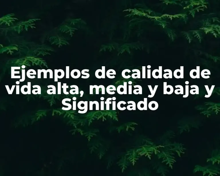 Ejemplos de calidad de vida alta, media y baja y Significado