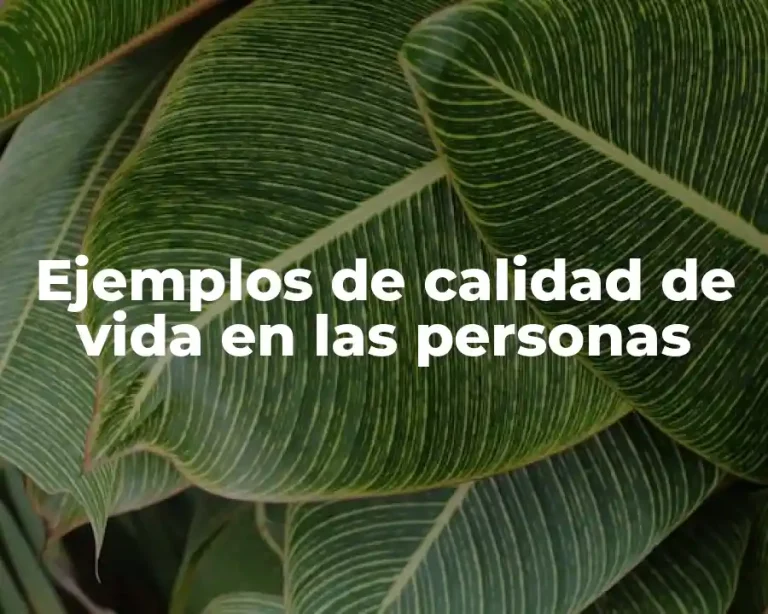 Ejemplos de calidad de vida en las personas