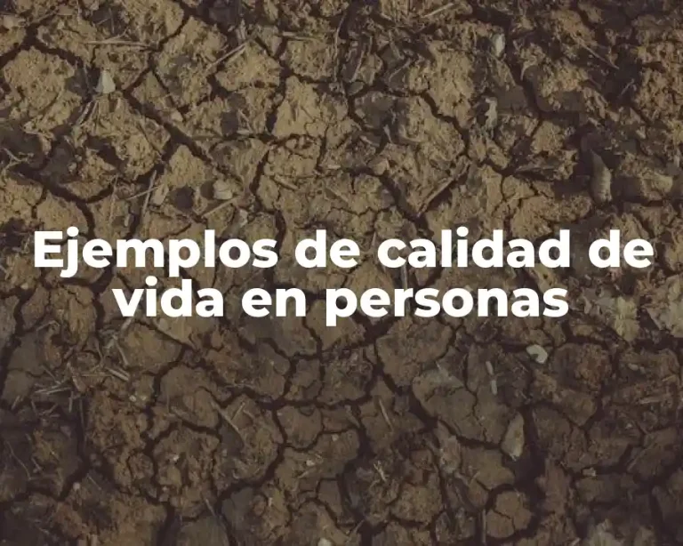 Ejemplos de calidad de vida en personas