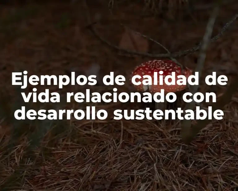 Ejemplos de calidad de vida relacionado con desarrollo sustentable