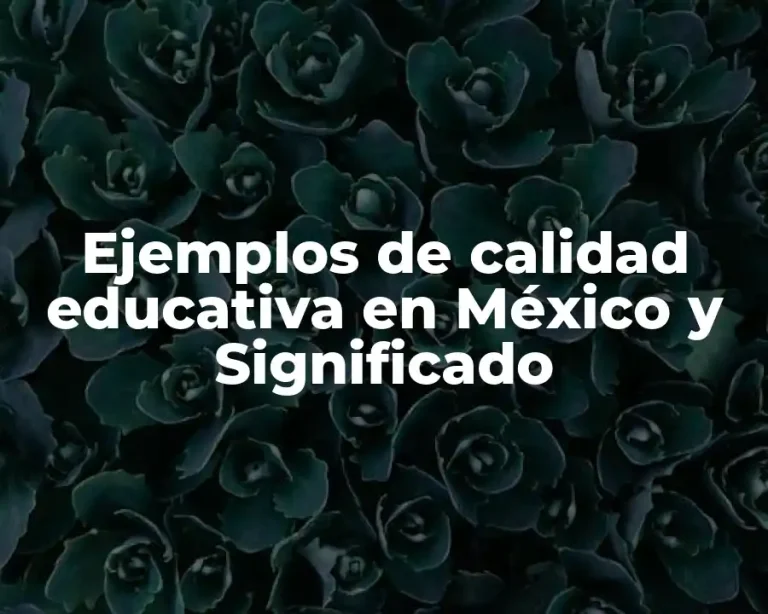 Ejemplos de calidad educativa en México y Significado