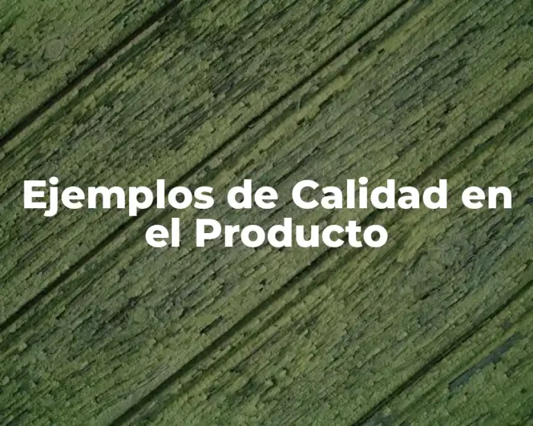 Ejemplos de Calidad en el Producto