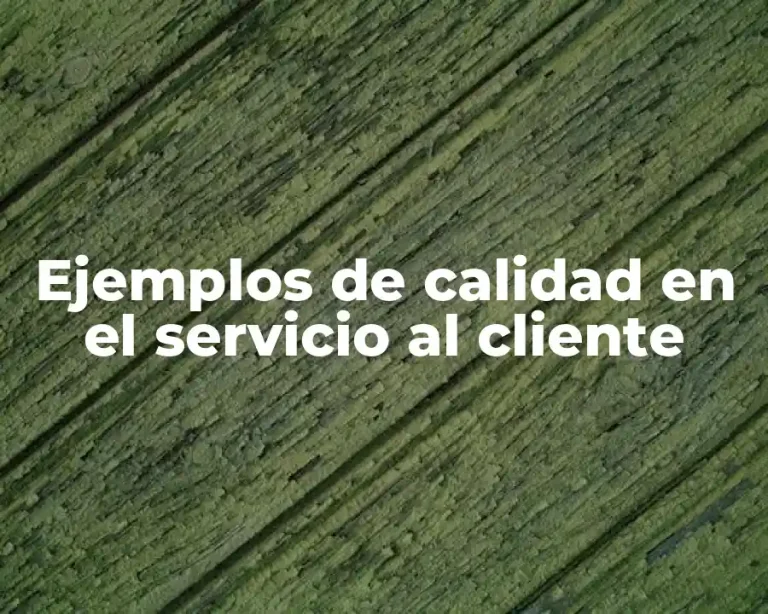 Ejemplos de calidad en el servicio al cliente